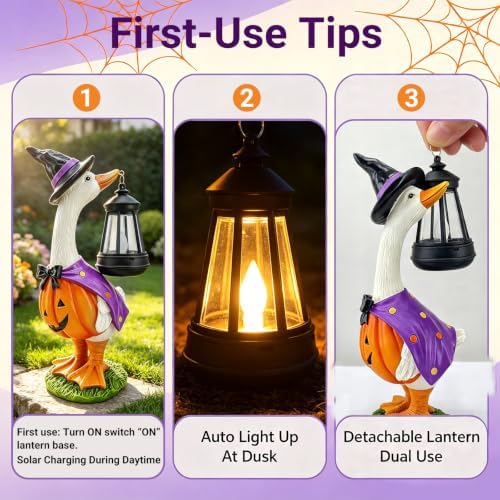 Halloween Decorations Solar Garden Outdoor Statues Goose - Image 5