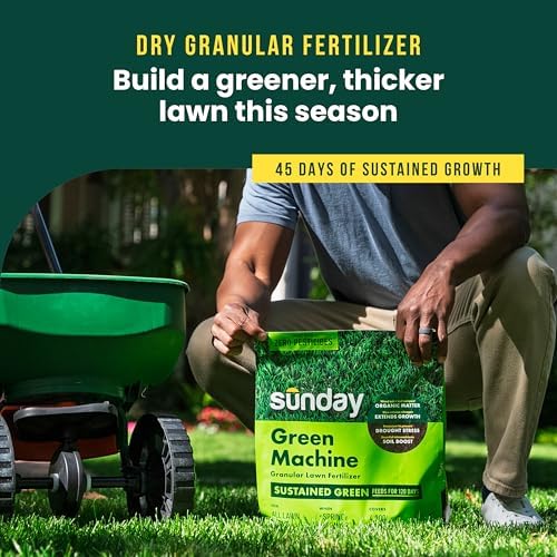 Sunday Granular Lawn Fertilizer, 2-Step Green-Up Kit, Covers 4,000 sq ft - Image 2