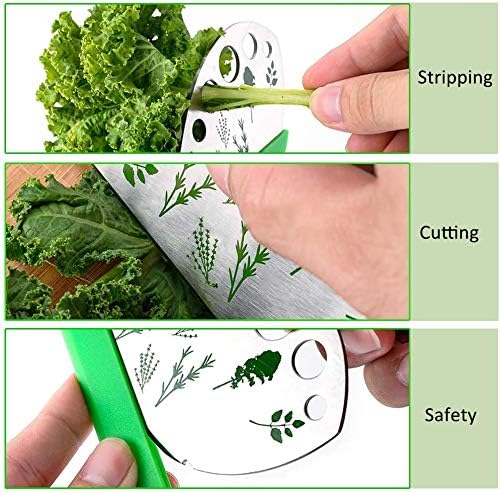 Herb Stripper, Jiaedge Green 9 holes Stainless Steel Kitchen Herbs Leaf Stripping Tool, Metal Herb Peeler for Kale, Collard Greens, Thyme, Basil, Rosemary Stripper - Image 4
