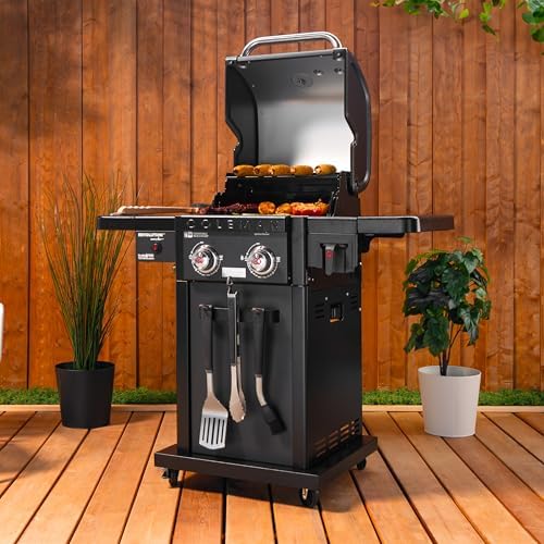Coleman Revolution 2-Burner Gas Grill, Convertible Propane to Natural Gas, 30,000 BTU, 440 sq in Cooking Area, Outdoor BBQ Grill - Image 2