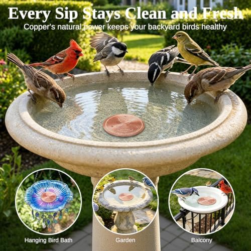 Copper Disc for Bird Bath, 99.9% Pure Copper (Dove) - Image 4