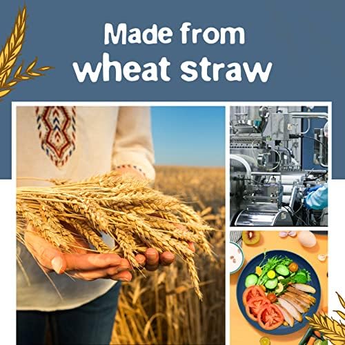 Teivio 16-Piece Kitchen Plastic Wheat Straw Dinnerware Set, Service for 4, Dinner Plates, Dessert Plate, Cereal Bowls, Cups, Unbreakable Plastic Outdoor Camping Dishes, Autumn Multicolor - Image 7