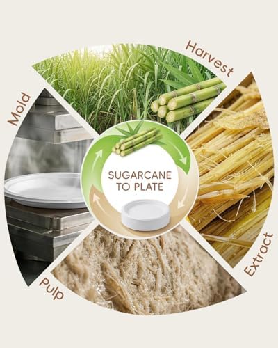 Goodluck 9 Inch White Compostable Sugarcane Paper Plates 250 Pack - Image 6