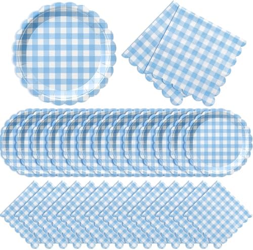 Roshtia 120 Pcs Blue Gingham Plates and Napkins Set, Boy Baby Shower by Roshtia