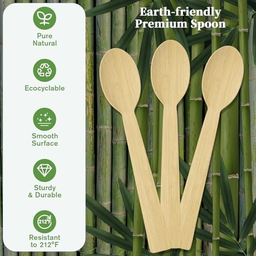 ECOLipak 300 Count Disposable Compostable Bamboo Spoons for Party, Dinner - Image 3