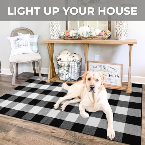 IOHOUZE 3x5 Buffalo Plaid Outdoor Rug, Washable Front Porch, Black White - Image 4