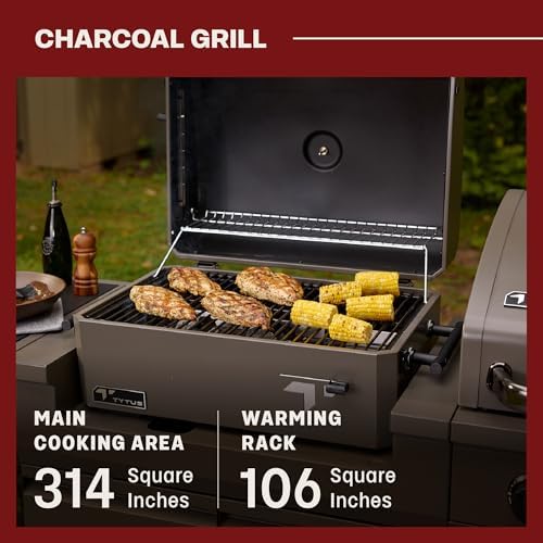 Tytus 3-in-1 Gas Grill, Charcoal Grill, Pizza Oven, Cover, Light, Pizza Kit - Image 5
