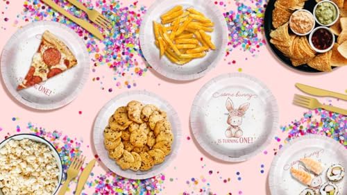 Some Bunny is Turning One First Birthday - 32 Piece Disposable Party Supplies - Decorations for Rabbit 1st Birthday Round Party Plates - Large 9" Paper Plates In Bulk - Image 7