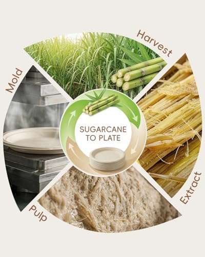 Goodluck 9 Inch Natural Compostable Sugarcane Paper Plates 250 Pack - Image 6