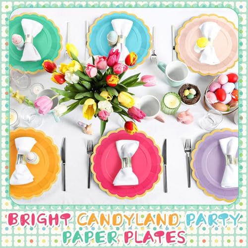 48 Pcs Candy Rainbow Paper Plates 9 Inch Scalloped - Image 5