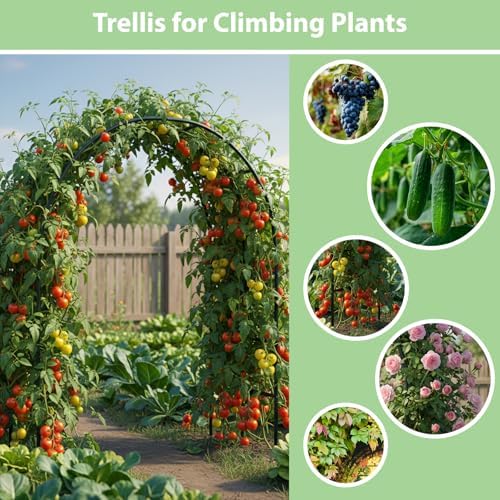 RUBFAC 7.8ft Garden Arch, Metal Trellis for Climbing Plants Outdoor - Image 4