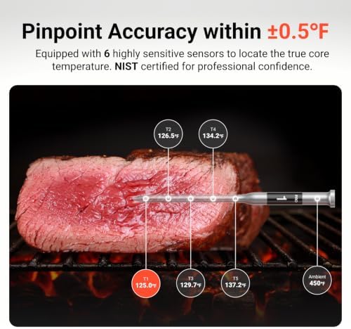 ThermoMaven Smart WiFi Wireless Meat Thermometer for Grilling with 2 Probes - Image 3