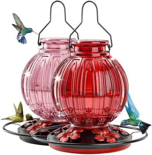 2 Pack Glass Hummingbird Feeder for Outdoors Hanging, Bird Nectar Feeder with Perch & 5 Flower Feeding Ports, 26 Oz Leak Proof for Outside Garden Decor Backyard, Gifts for Women Mom, Red + Pink by GreteGotye