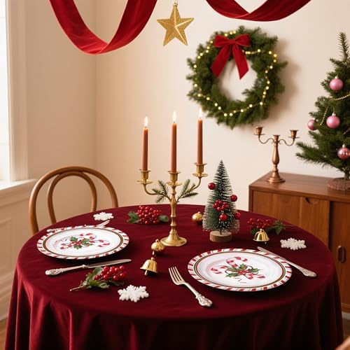 WRAPAHOLIC 25Pcs Christmas Paper Plates - 9 Inch Candy Cane Disposable Plates Decorative Dinner Plates for Christmas Party Tableware Supplies Table Decor - Image 3