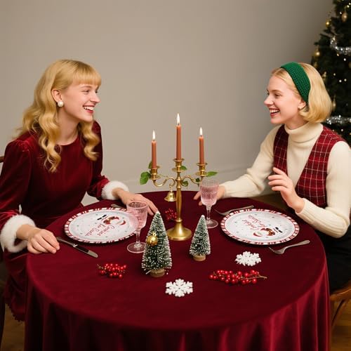 WRAPAHOLIC 25Pcs Christmas Paper Plates - 9 Inch Cookies for Santa Disposable Plates Decorative Dinner Plates for Christmas Party Tableware Supplies Table Decor - Image 7