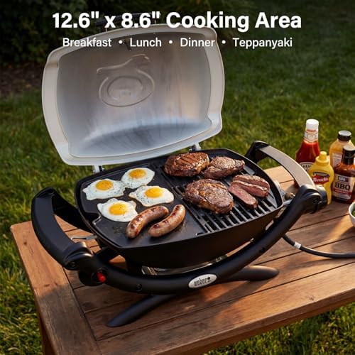 Cast Iron Griddle Plate for Weber Q Series Q1200 Q1000 Q100 Accessories - Image 3