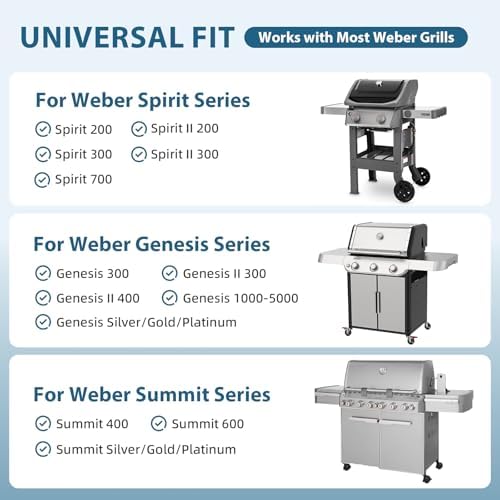 25IN Universal Hose and Regulator Kit for Weber Genesis/Spirit - Image 4