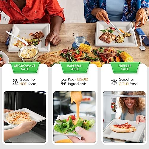 Gezond Compostable Paper Plates Set 300pcs Disposable Plates 10 Inch - Image 5
