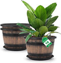 Quarut Large Plastic 3 Pack16 inch Plant Pots,Whiskey Barrel Planters with Drainage Holes & Saucer.Flower Pots Imitation Wine Barrel Design for Indoor & Outdoor Garden Balcony Plants.7 Gallons(Brown) by Quarut
