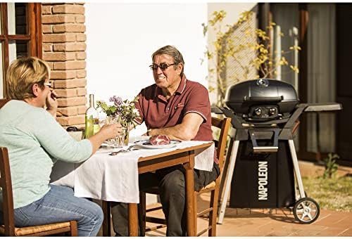 Napoleon TravelQ PRO285 Portable Natural Gas Grill, Black, 2 Burners, Tailgating, Camping, and Small Outdoor Spaces - Image 6