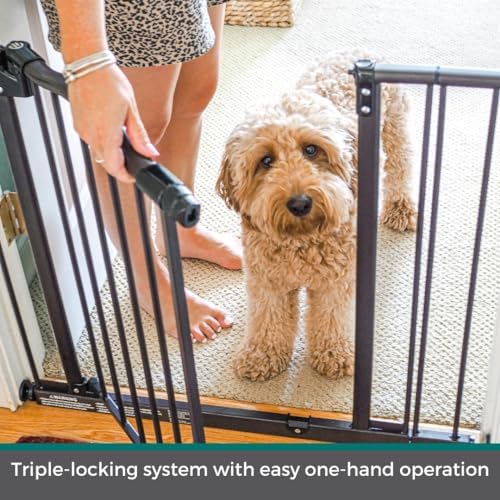 MyPet Windsor Arch Hold-Open & Auto-Close Pressure-Mount Pet Gate: Heavy-Duty Steel Gate 28.5in Tall Comes with Two 5in Extensions from 28in to 38in Wide in Matte Bronze - Image 2