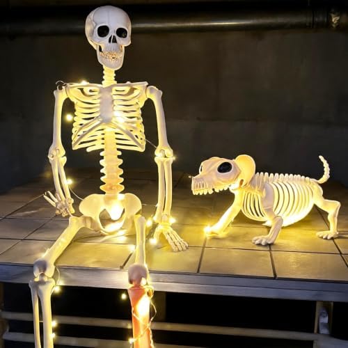 Lighted Human & Dog Skeleton Halloween Decorations Outdoor/Indoor - Image 4