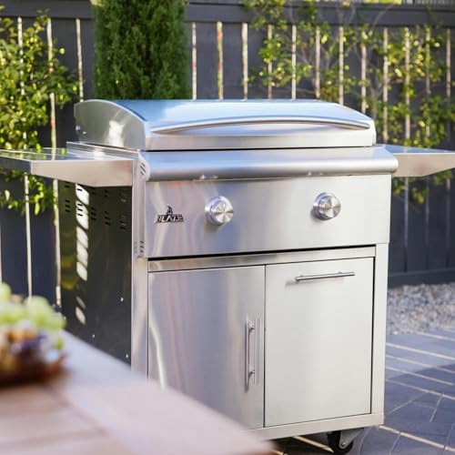 Blaze LTE+ 30-in Propane Griddle w/Lift-Assist Hood - Image 3