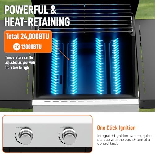 ROVSUN 2 Burner Propane Gas Grill with Foldable Side Shelves, 24000BTU BBQ Grills with Enameled Cast Iron Grates, Cabinet & Poratable Rolling Wheels for Outdoor Garden Patio Backyard Barbecue Cooking - Image 2