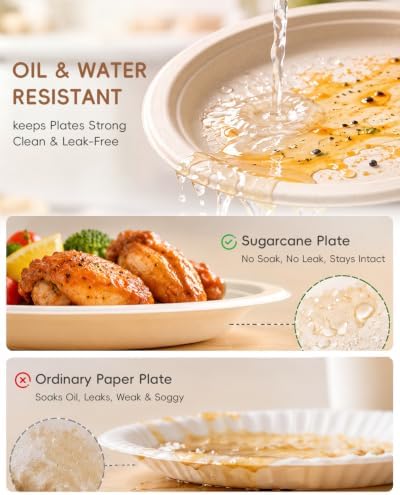 Goodluck 9 Inch Natural Compostable Sugarcane Paper Plates 125 Pack - Image 5