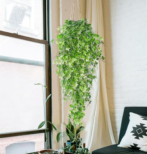 RECUTMS Artificial Hanging Plant Faux Ivy Vine with White UV Resistant Leaf - Image 5