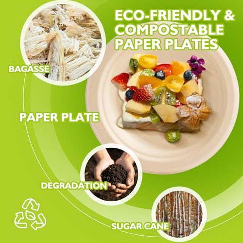 6 Inch 100 Pack Compostable Small Paper Plates - Image 5