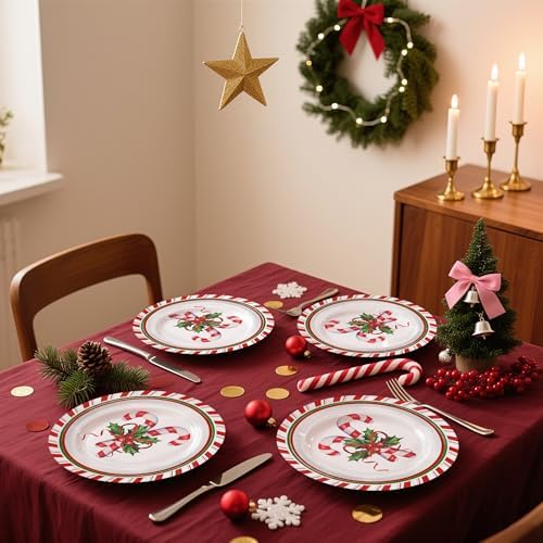 WRAPAHOLIC 25Pcs Christmas Paper Plates - 9 Inch Candy Cane Disposable Plates Decorative Dinner Plates for Christmas Party Tableware Supplies Table Decor - Image 4