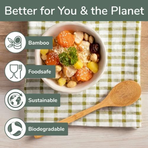 BambooMN 8" Reusable Bamboo Dinner Spoon - 10 Units - Image 3