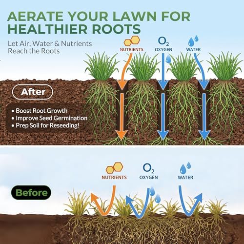 Walensee 4-Row Lawn Aerator Tool with 20 Steel Spikes for Small Yards - Image 4