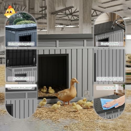 Chicken Coop with Hydraulic Air Rod, Resin Duck Coop with Elevated Floor and Air Vents, Duck House, Backyard Poultry Pet Shelter with Weatherproof Openable Roof, for Chicken, Ducks, Rabbits, Grey - Image 5