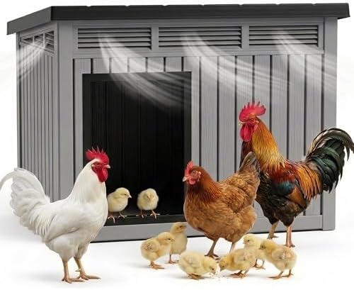 Weather Resistant Resin Chicken Nest Box with Lift Strut and Perimeter Drain Holes（Black） by KFY