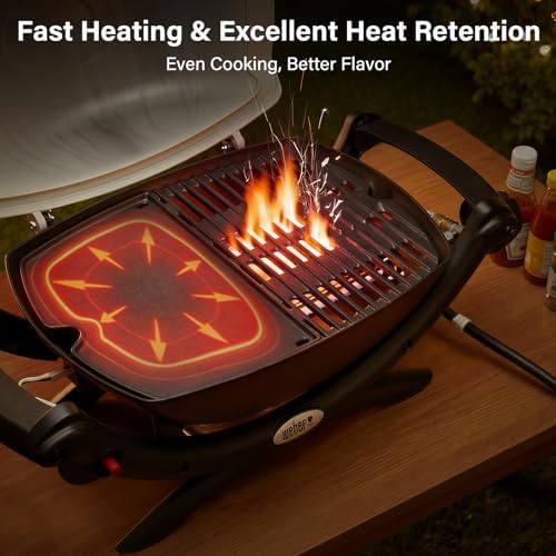 Cast Iron Griddle Plate for Weber Q Series Q1200 Q1000 Q100 Accessories - Image 6