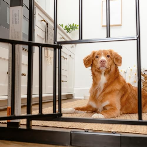 Carlson 29–36.5” Extra Wide Dog Gate with Small Pet Door, Walk-Through Pressure Mounted Metal Indoor Pet Safety Gate, Black, Tested and Trusted by Pet Parents, American Designed, American Owned - Image 4