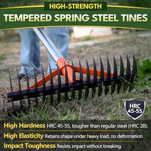 62.5 Inch Thatch Rake for Lawns 18 Sharp Tempered Spring Steel Tines - Image 2