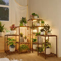 Bamworld Plant Stand with Grow Lights for Indoor Plants 11 Potted by Bamworld
