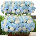 XunYee 12 Pcs Blue Artificial Flowers for Outdoor,Silk Chrysanthemums by XunYee