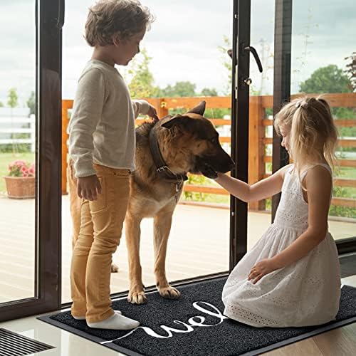 Door Mat Welcome Mat Floor Mat for Entryway, Patio, High Traffic Areas - Image 2