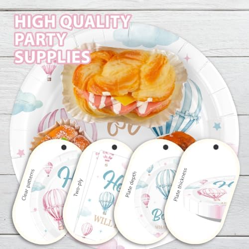 168Pcs Pink and Blue Hot Air Balloon Gender Reveal Party Supplies Serves 24 - Image 4