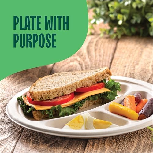 100% Compostable, 3 Compartment, Disposable Paper Plates [125-Pack] 9 Inch Heavy Duty Biodegradable Bagasse Sectional Lunch Trays + Dividers - Divided Platte Tray (PFAS Free) (BPA Certified) - Image 4