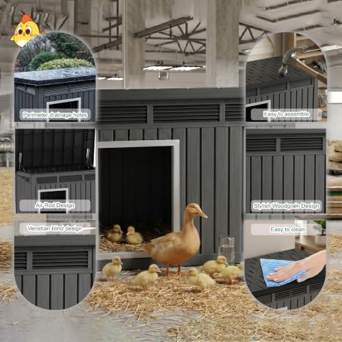 Large Chicken Coop with Hydraulic Air Rod, Resin Duck Coop with Elevated Floor and Air Vents, Backyard Poultry Pet Shelter with Weatherproof Openable Roof, for Chicken, Ducks, Rabbits, Black - Image 5