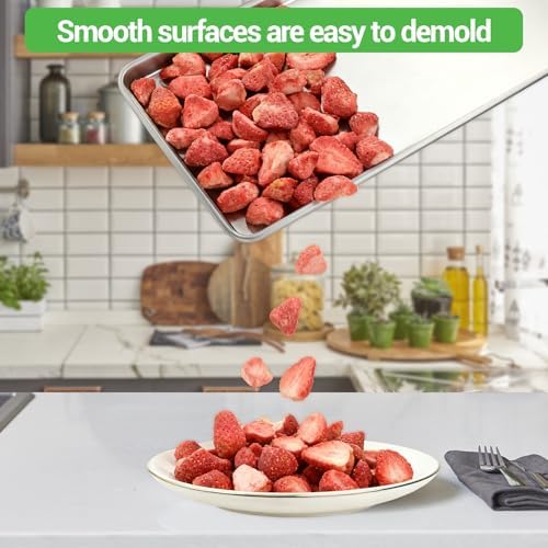 Metal Trays for Harvest Right Freeze Dryer, Large Freeze Dryer Trays Set of 2, Easy to Demold, Corrosion-resistant, Compatible with Harvest Right Large Trays, 2-year warranty - Image 2