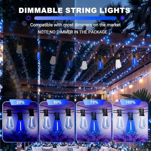 LAMPHOME 26Ft ST38 Blue White Outdoor String Lights, Patio Lights with 12+1 ST38 Edison Bulbs, LED Shatterproof String Lights for Outside Bistro Patio Christmas Party Decorations - Image 5