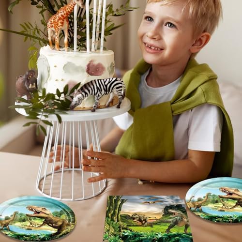 Dinosaur Birthday Party Supplies Dinosaur Theme Disposable Tableware Party Decor Jurassic Theme Party Paper Plates Napkins for Kids Party Decoration, Serve 20 - Image 5