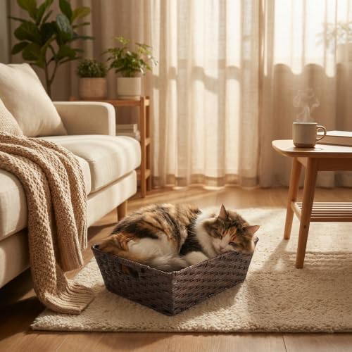Onlytak Large 2-Pack Plastic Wicker Storage Baskets, 17"x13"x5.5", Brown - Image 7