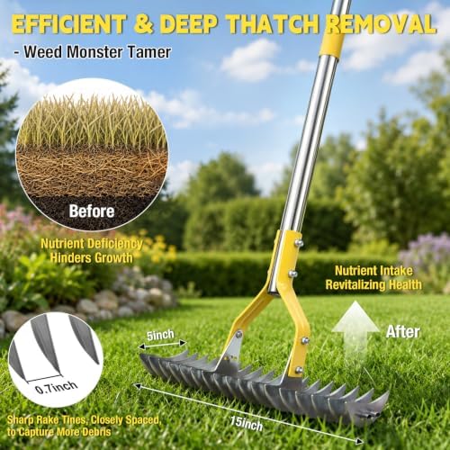 Thatch Rakes , 15-Inch Wide Thatching Rake for Cleaning Dead Grass, 55-Inch Efficient Steel Dethatcher Rake with Adjustable Metal Handle, Thatch Rakes for Lawns, Garden, Yard - Image 3